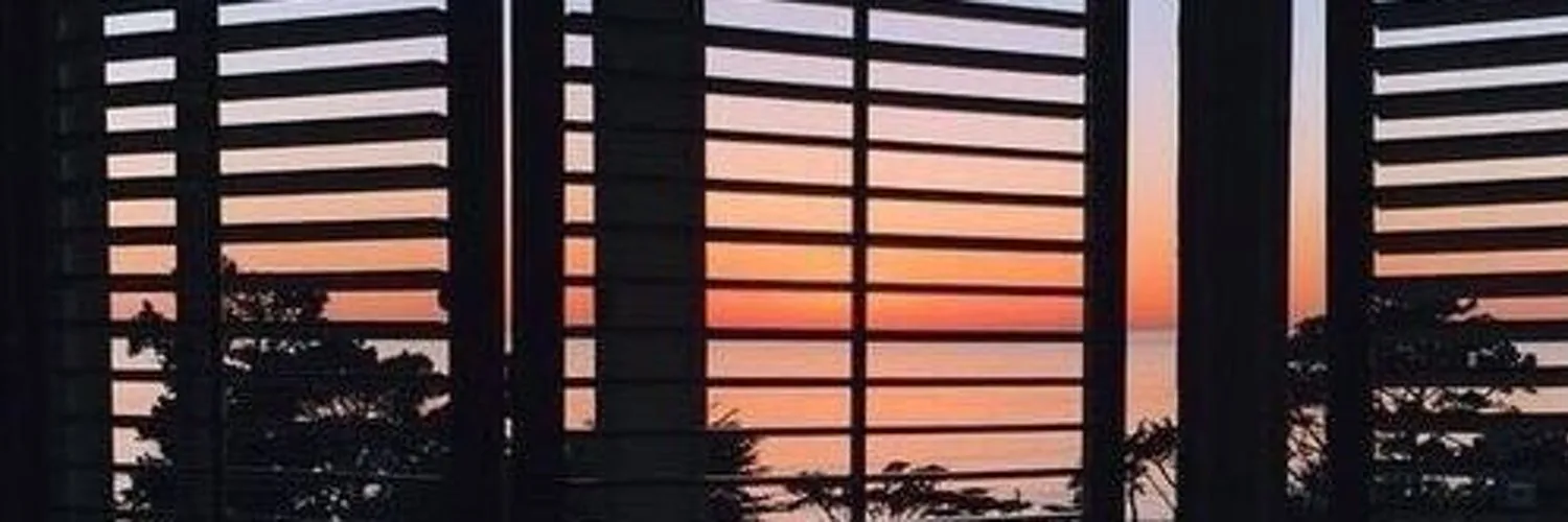 Bee 🐝 OnlyFans header