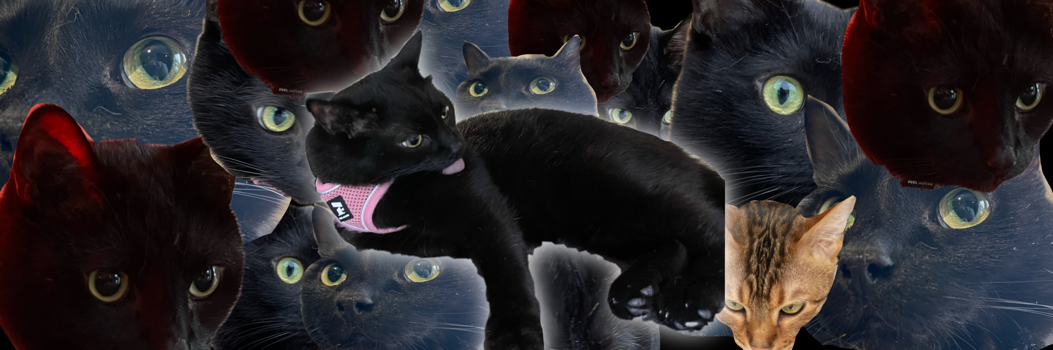 Mama Muru OnlyFans header