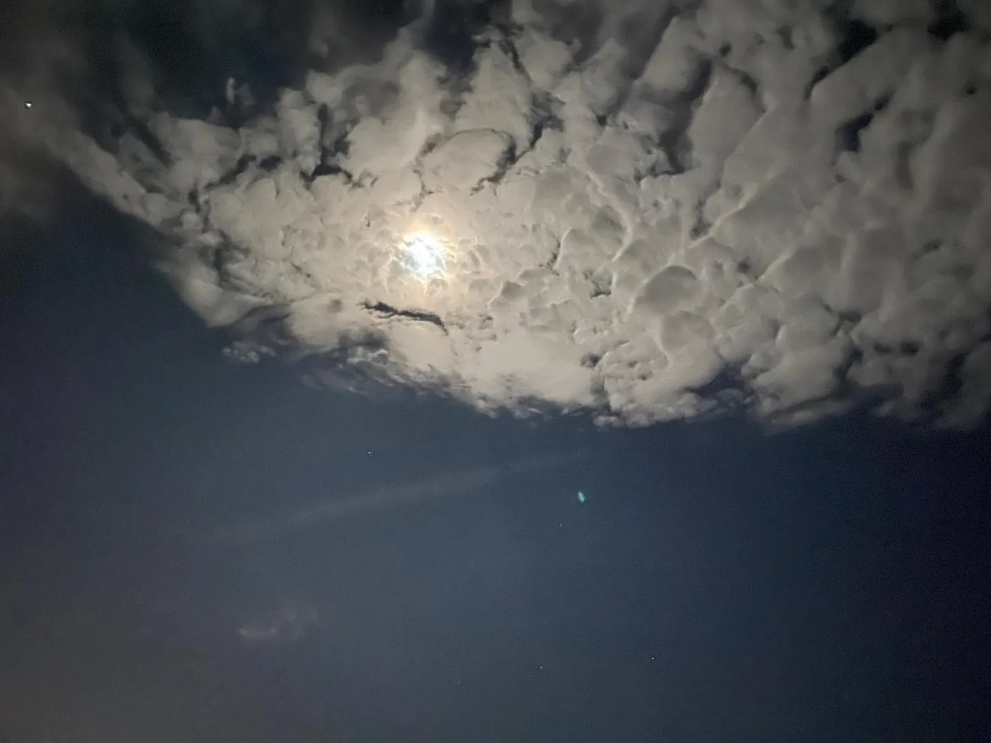 XoBlairBunni OnlyFans header