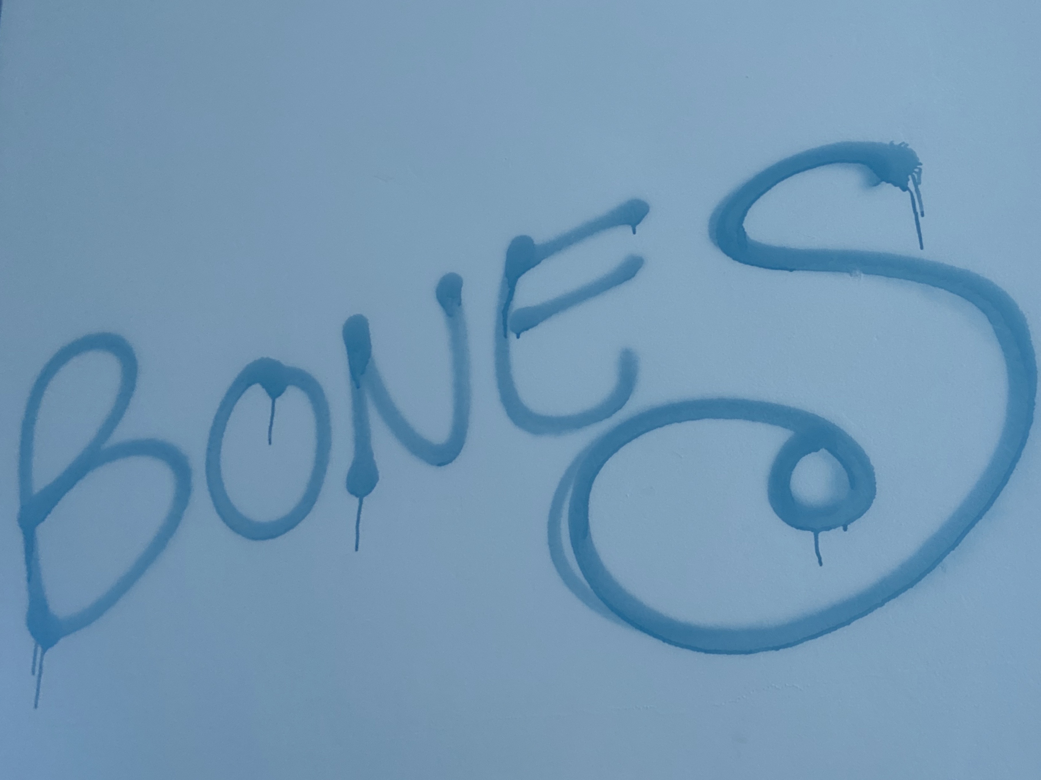 BONES OnlyFans header