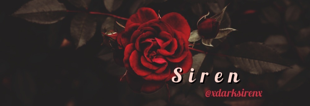 Obsidian Wolf OnlyFans header