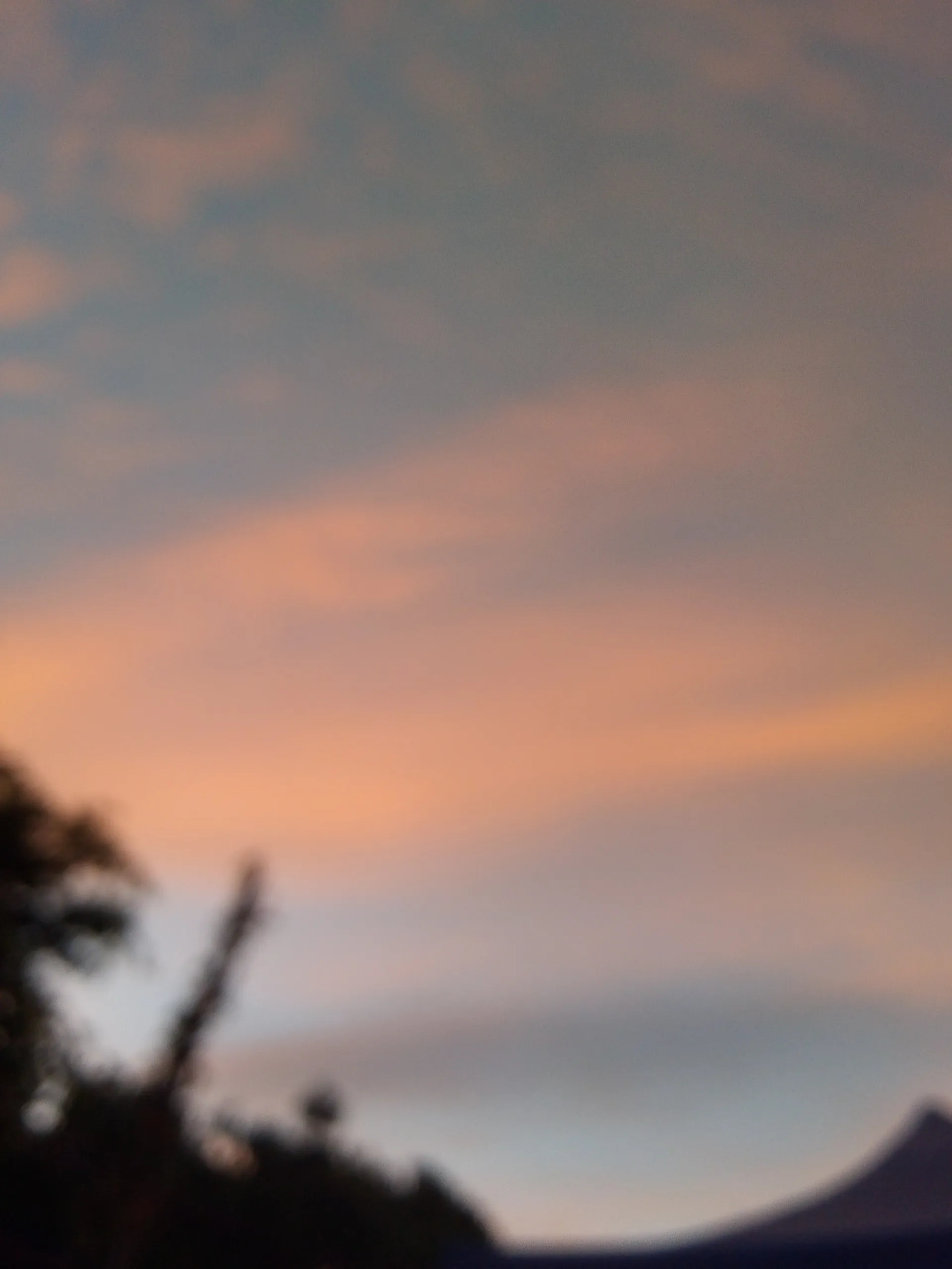 xochiquetzal OnlyFans header