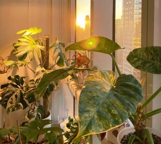 x o c h i t l 💋 OnlyFans header