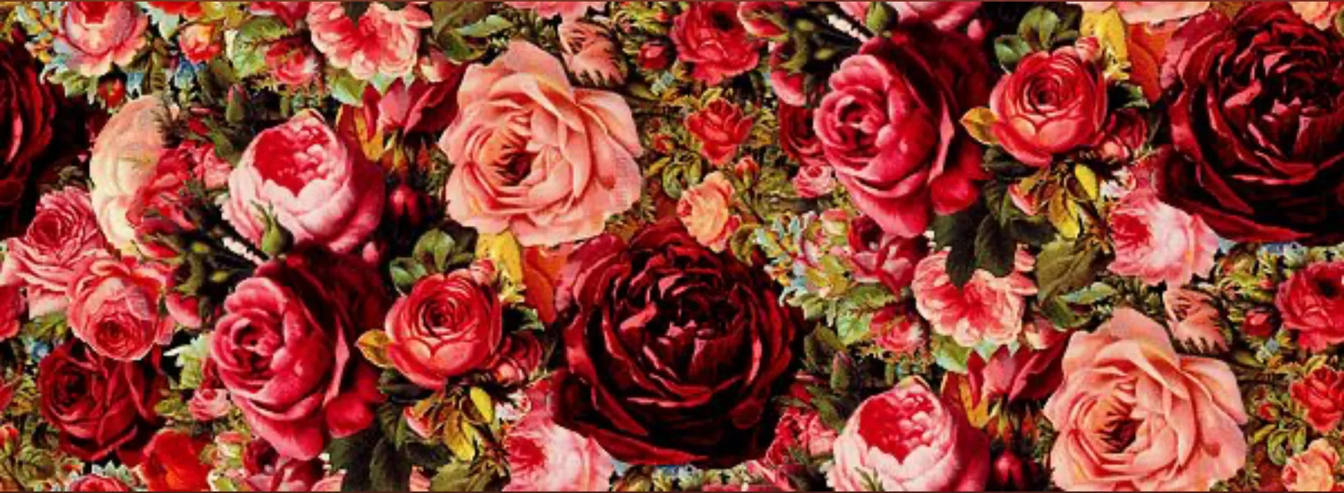 Clair Rose 🥀💋 OnlyFans header