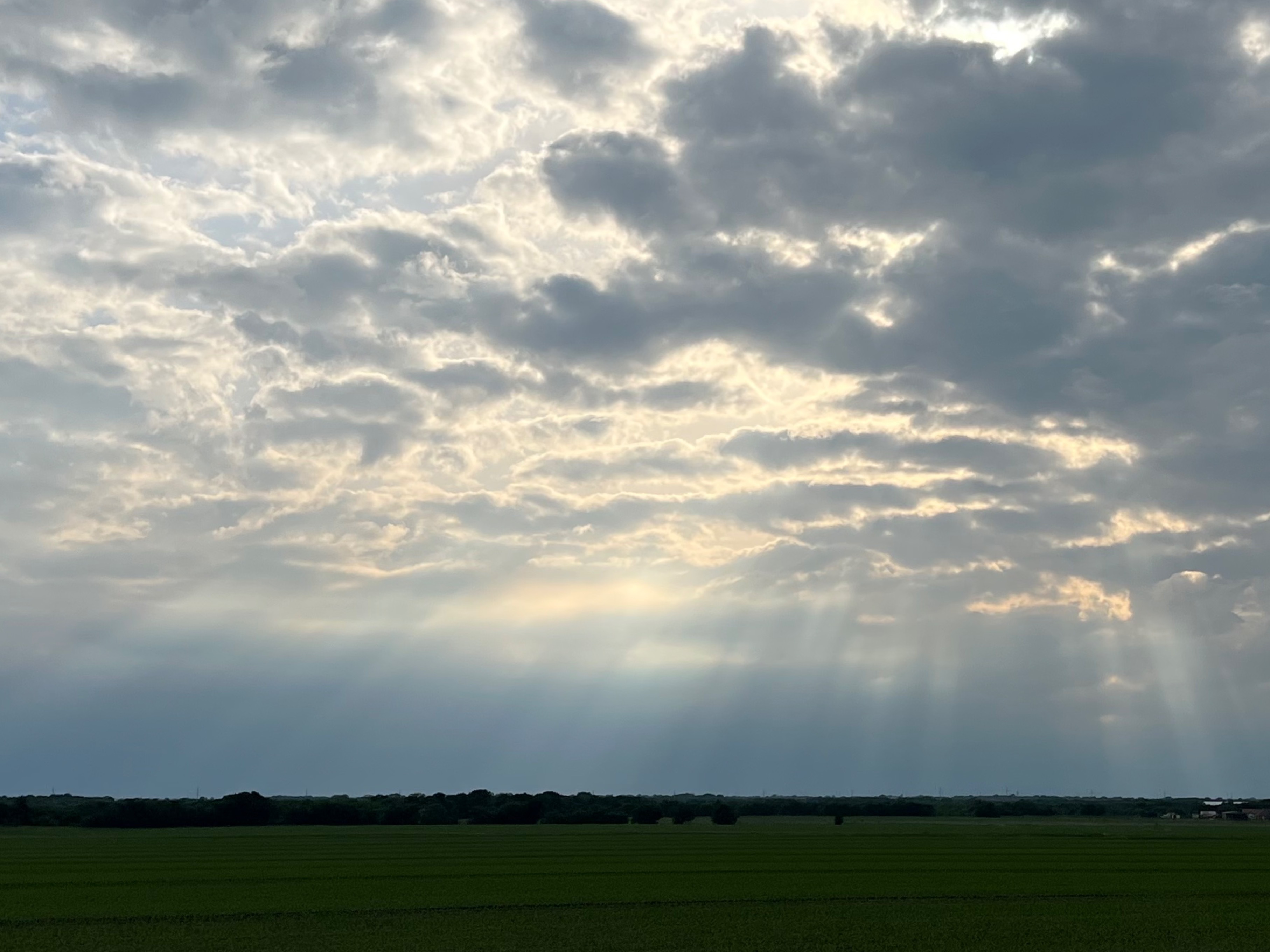 XoMarie OnlyFans header