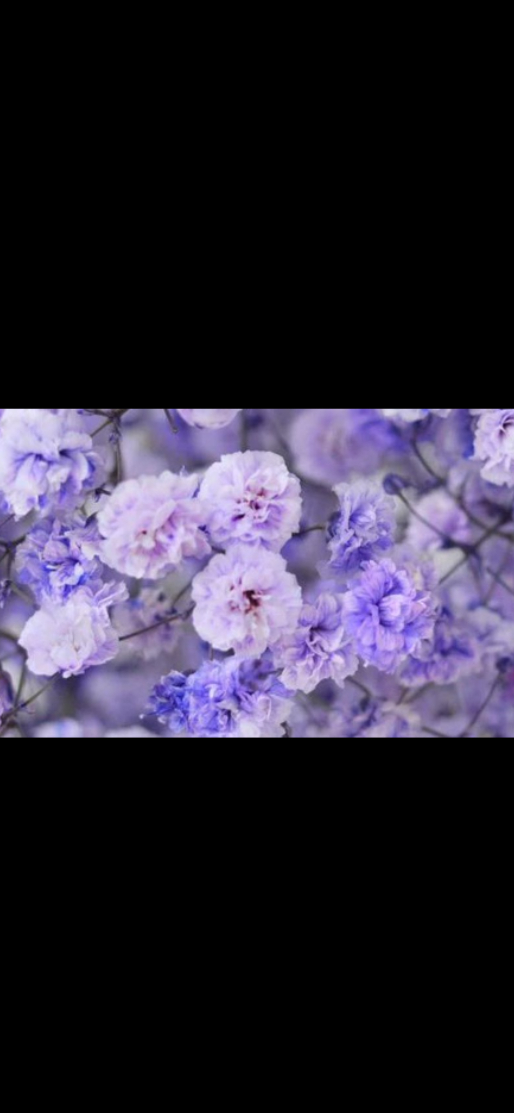 Crybaby OnlyFans header