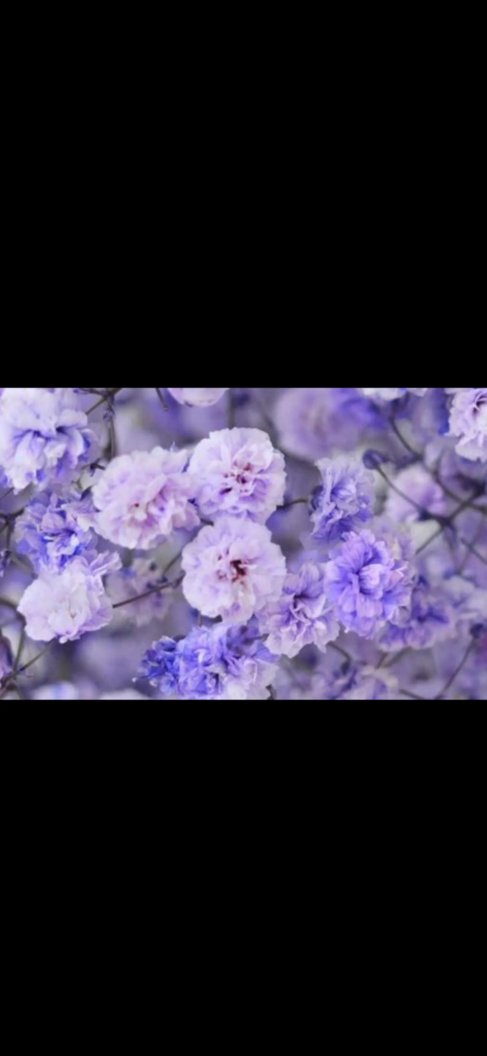 Crybaby OnlyFans header