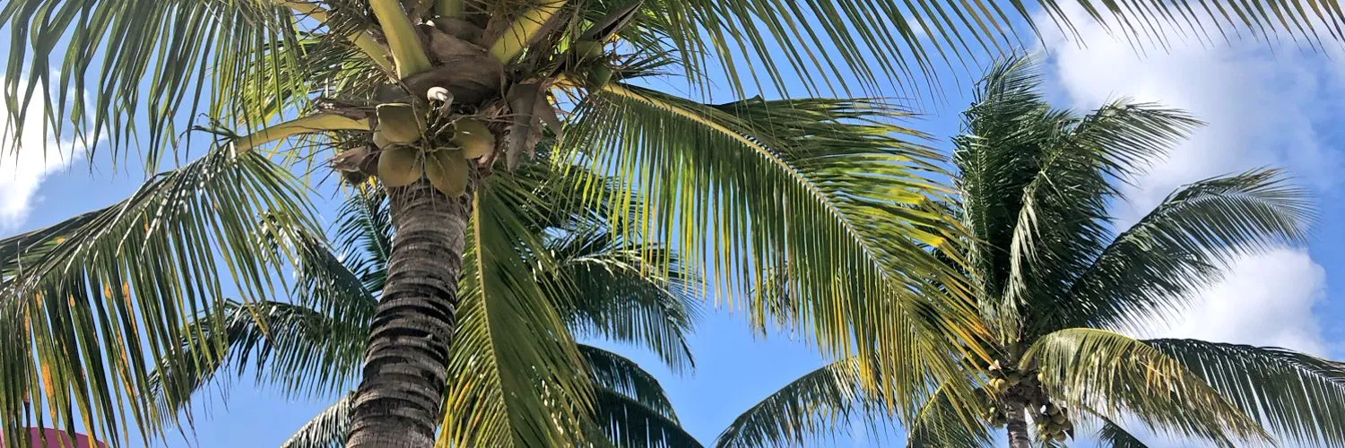 tristan 🍒 OnlyFans header