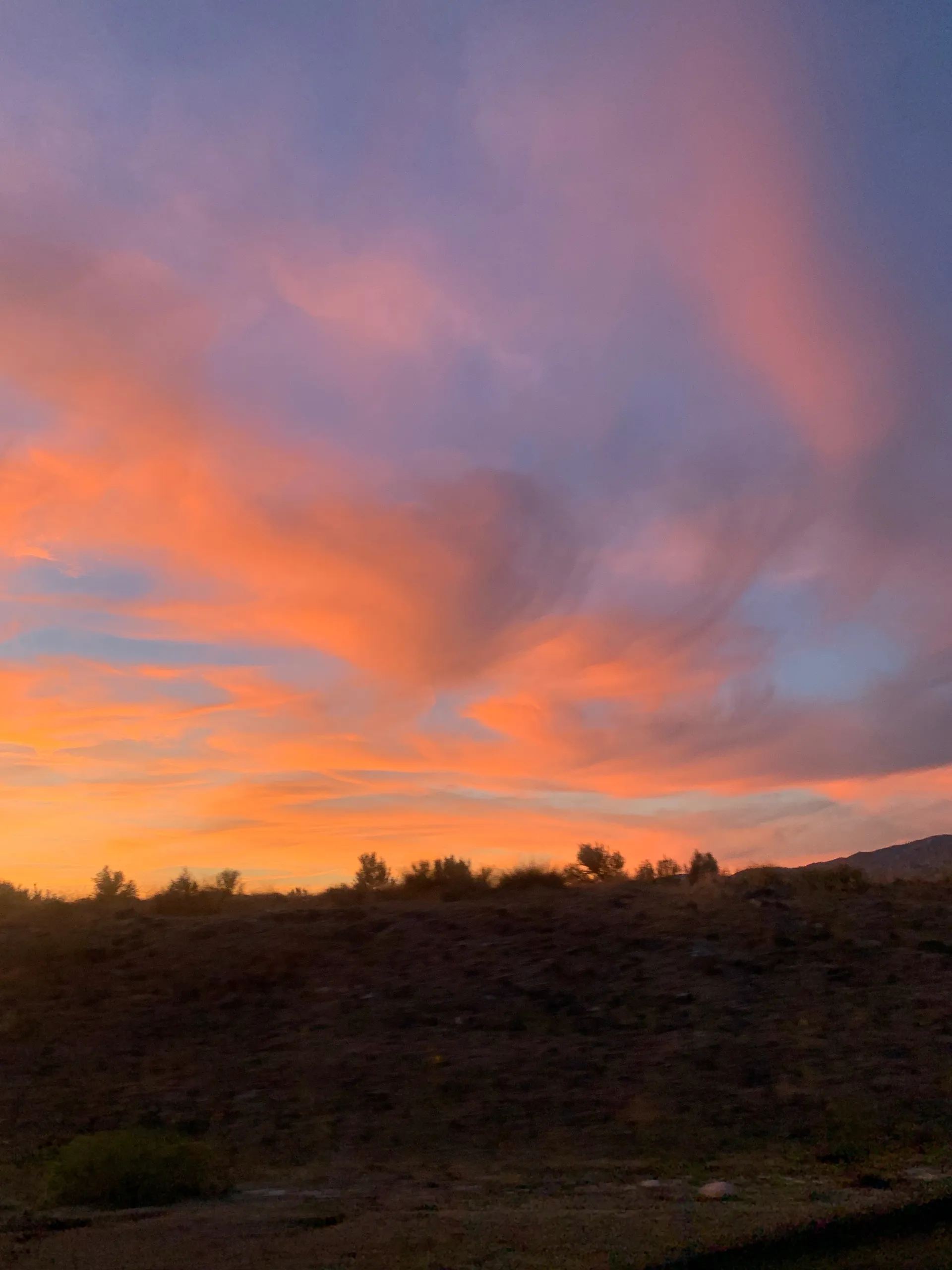 Sophie Matteo OnlyFans header