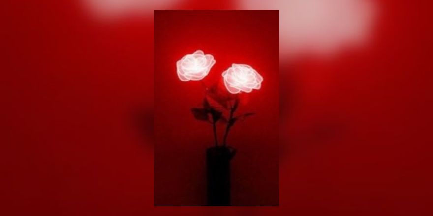 Darling OnlyFans header