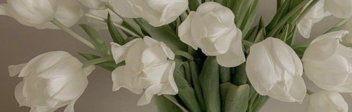 Eliza Rose OnlyFans header