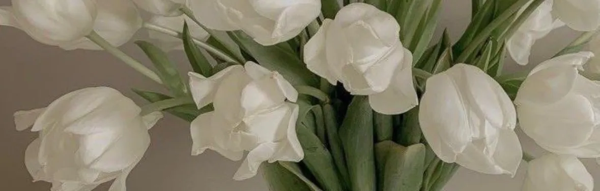 Eliza Rose OnlyFans header