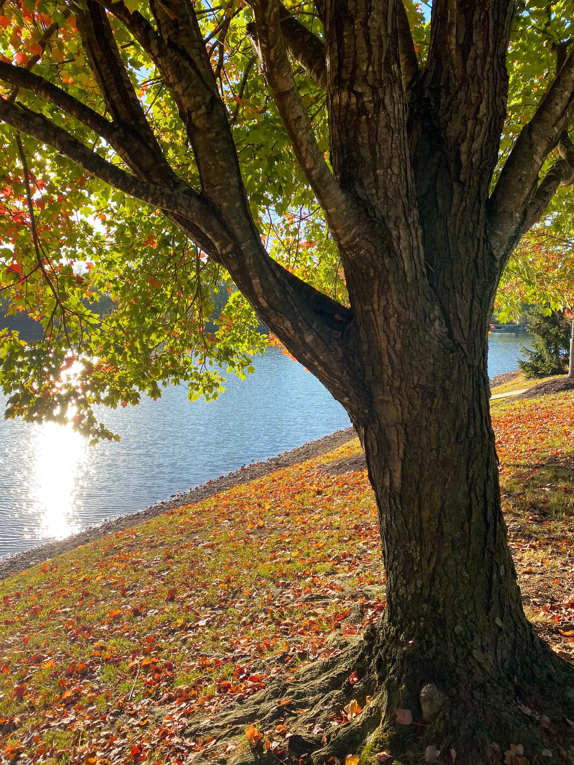 gabby OnlyFans header