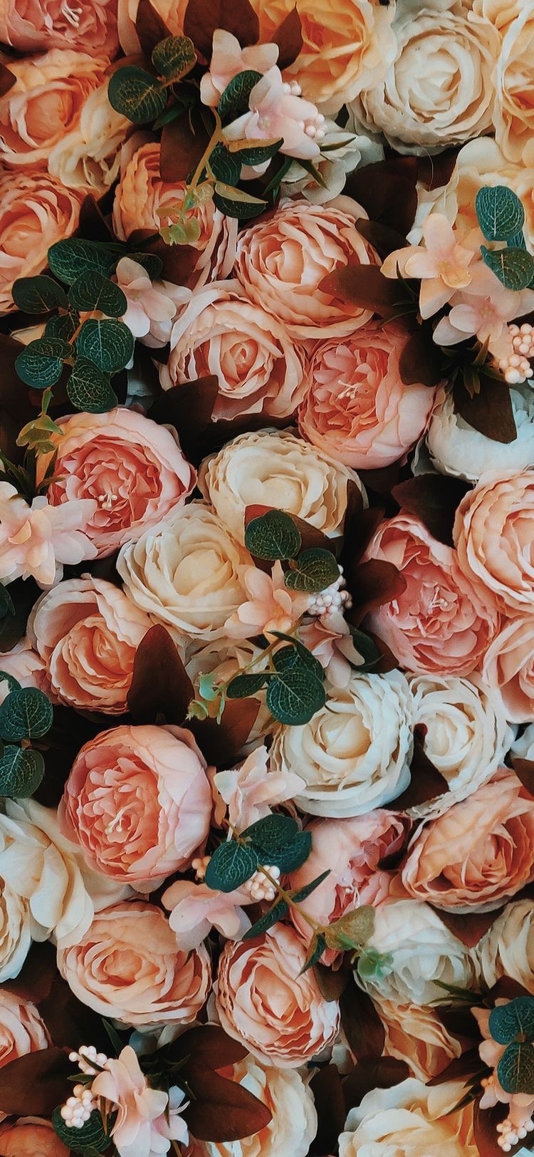 Haleycakes OnlyFans header