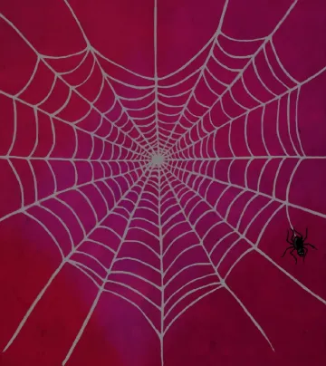 OhhMyy OnlyFans header