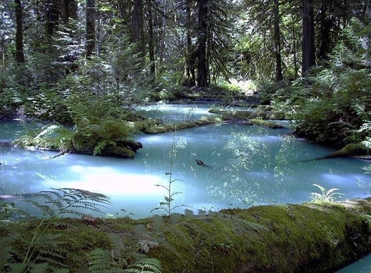 starfire OnlyFans header