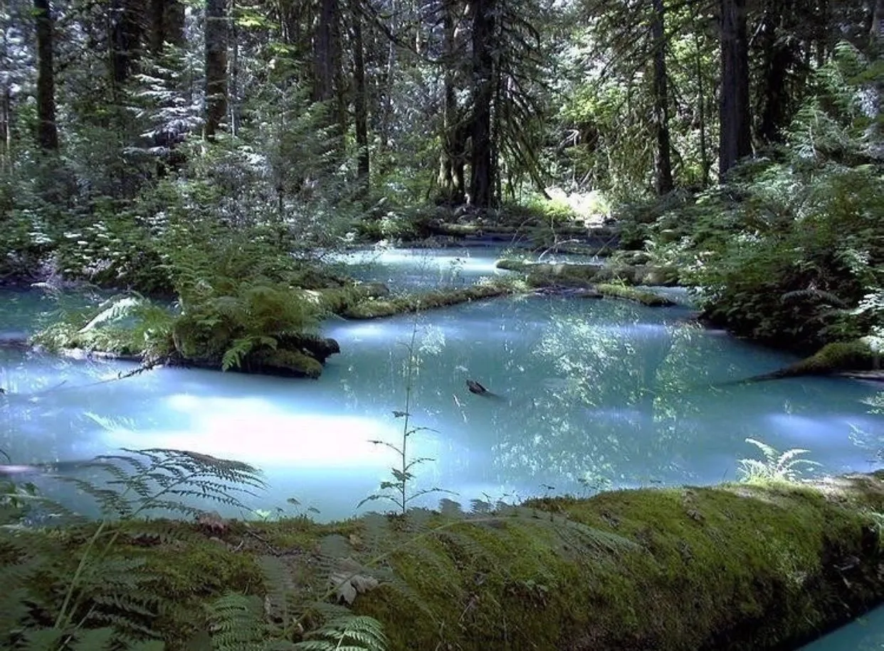 starfire OnlyFans header