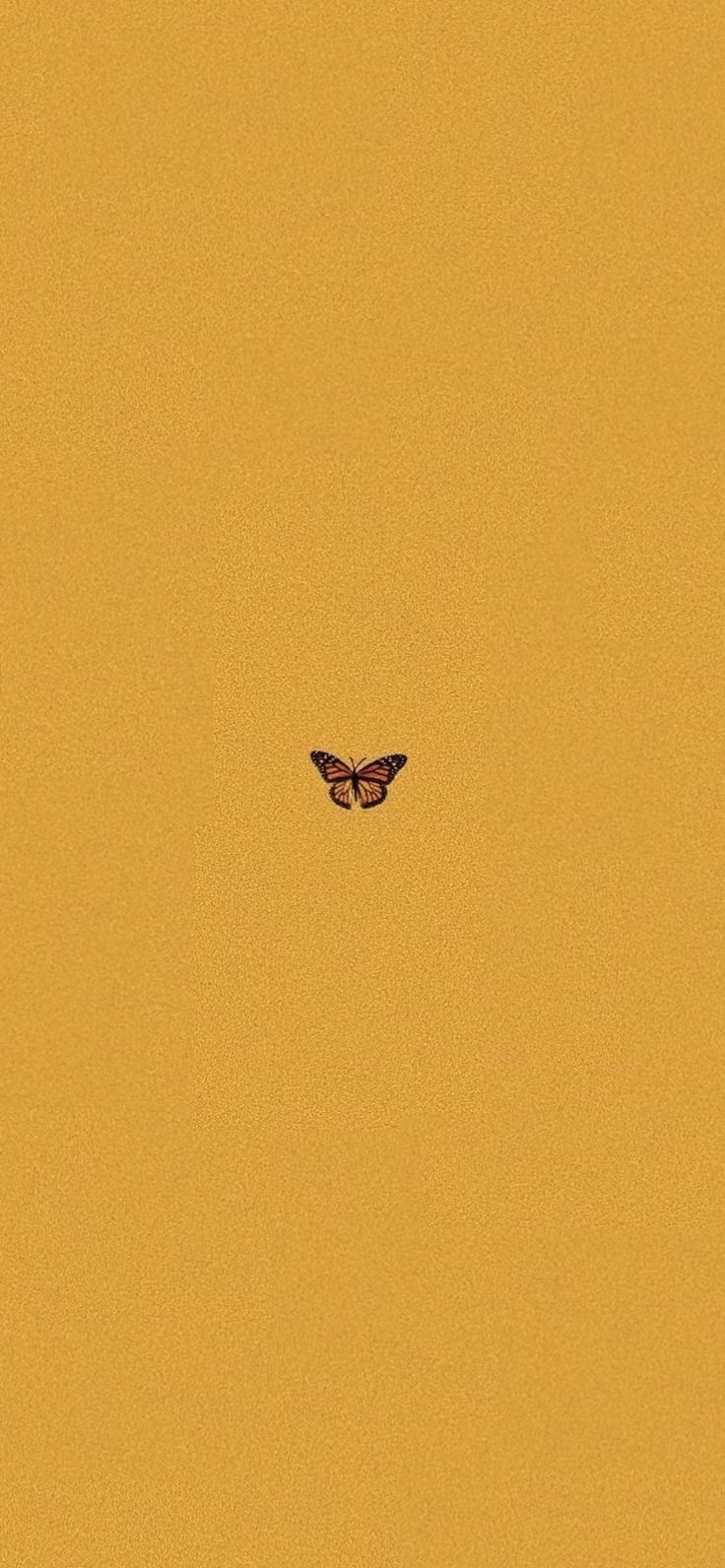 BabyGirl OnlyFans header