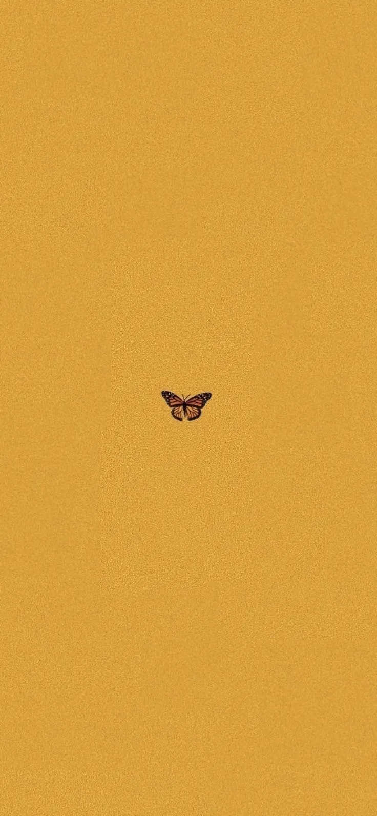 BabyGirl OnlyFans header