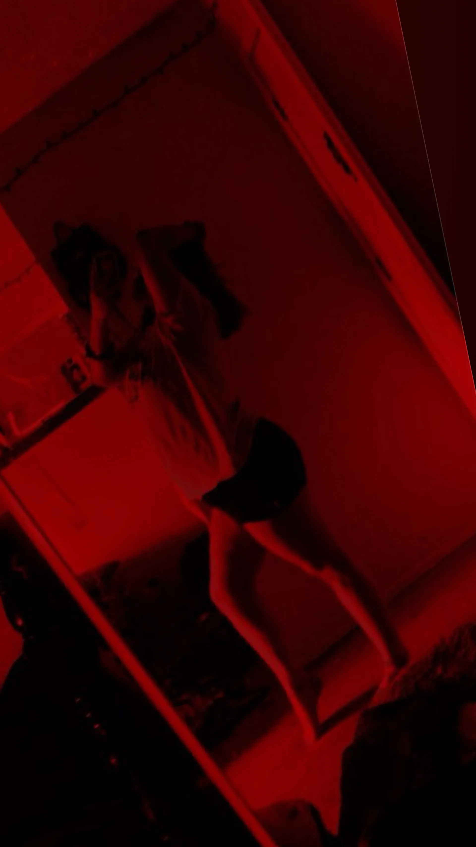 jade Anayeli OnlyFans header