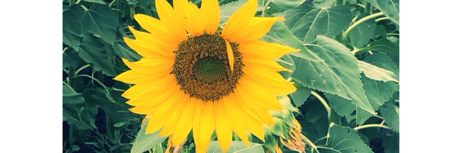 ✘OKarlaaaaaaaa OnlyFans header