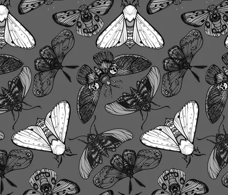 Xolia (20) OnlyFans header