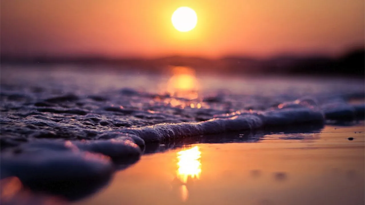 Luna OnlyFans header