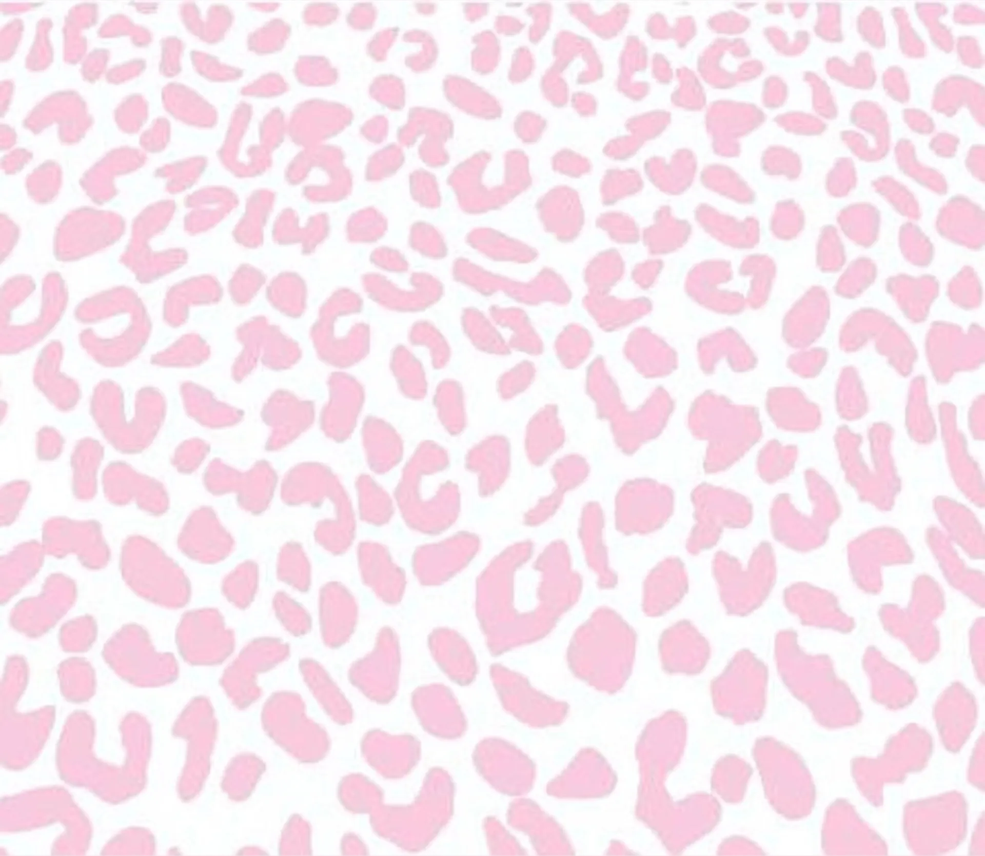 Evelyn 🪽 OnlyFans header