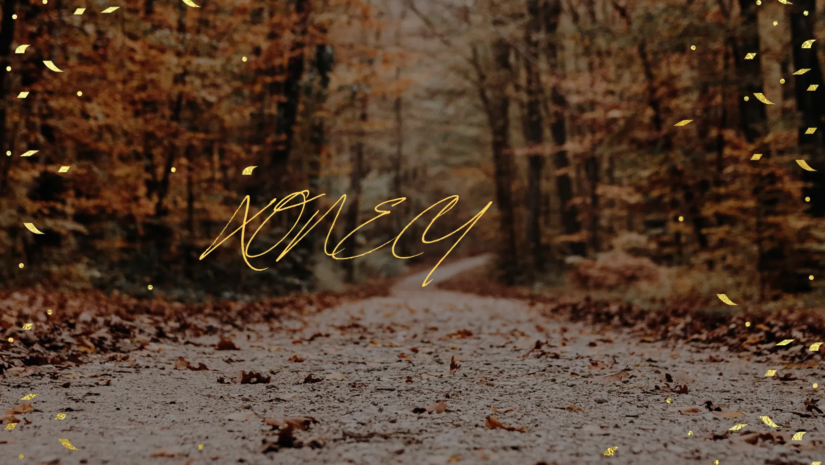 Xonecy OnlyFans header