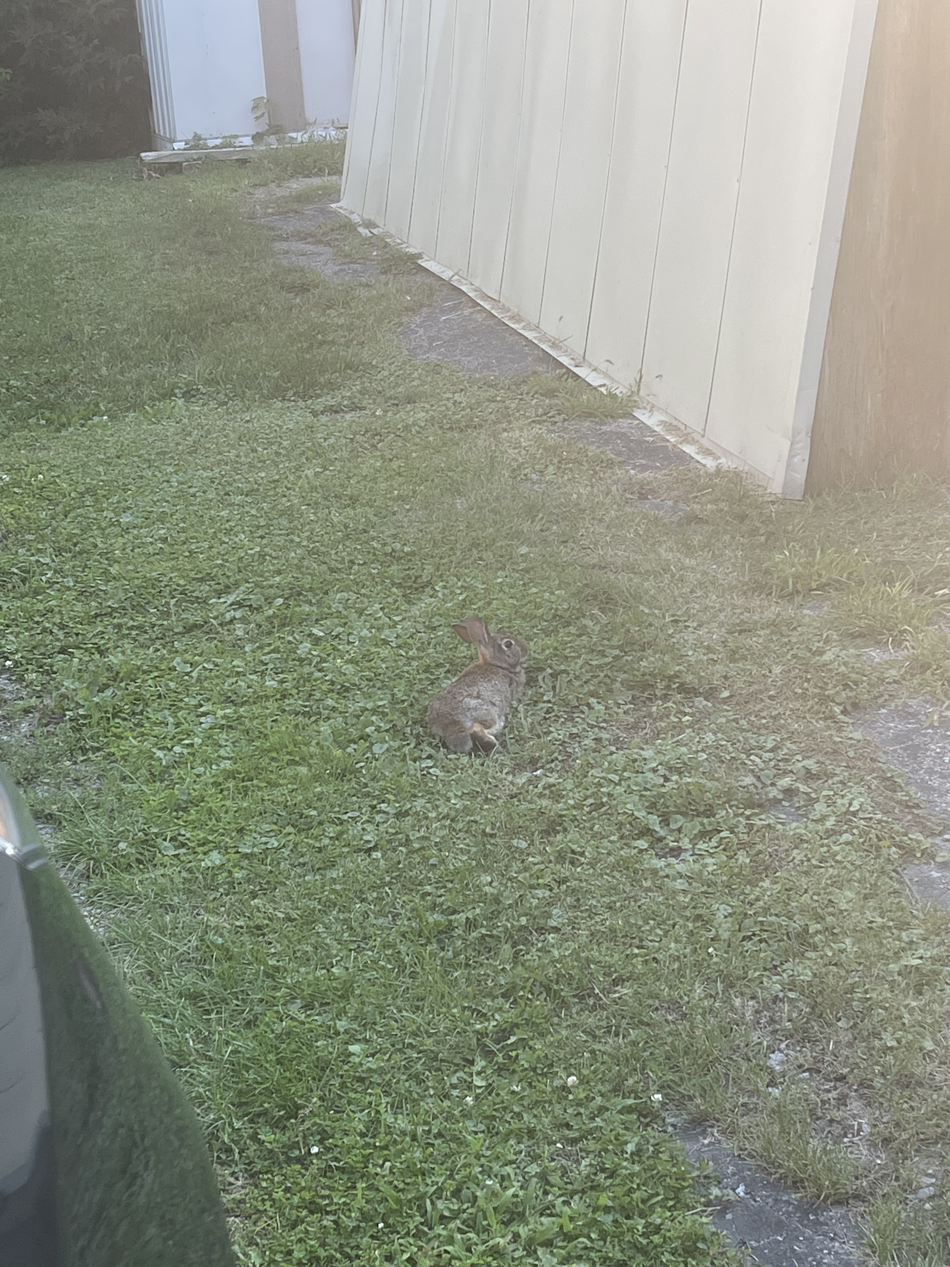 XOPeachyPinkXO OnlyFans header