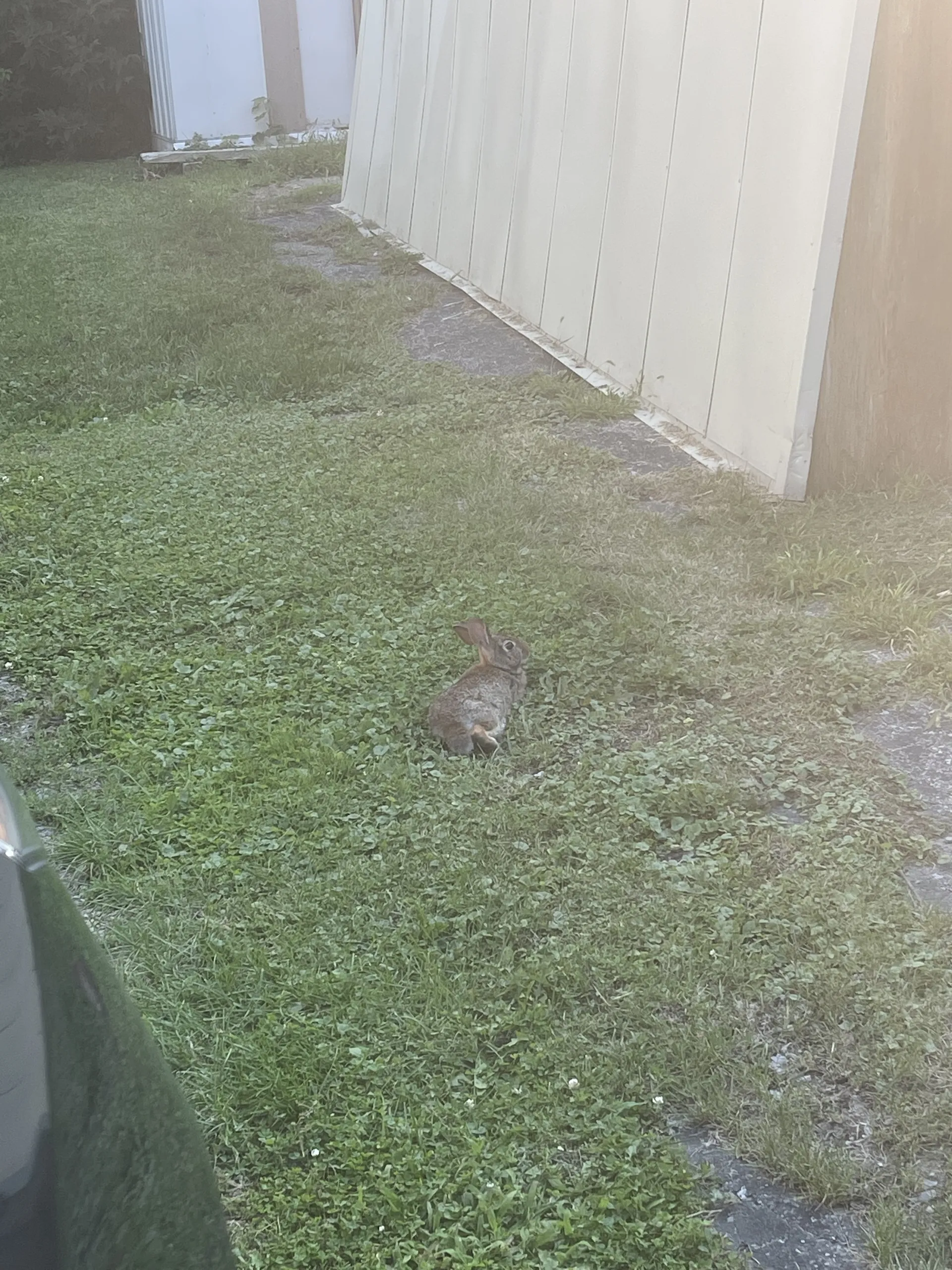 XOPeachyPinkXO OnlyFans header