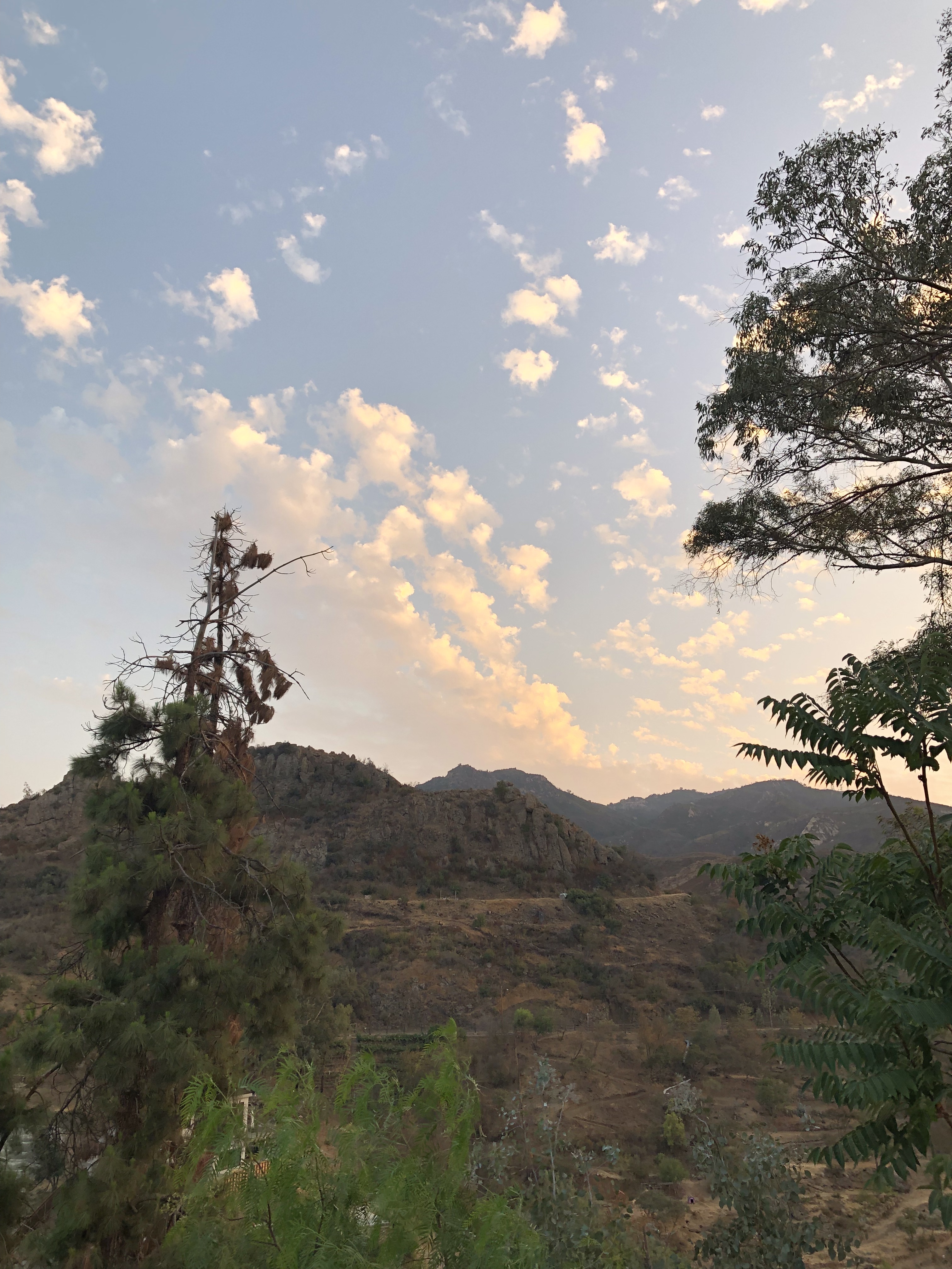 Cookie OnlyFans header