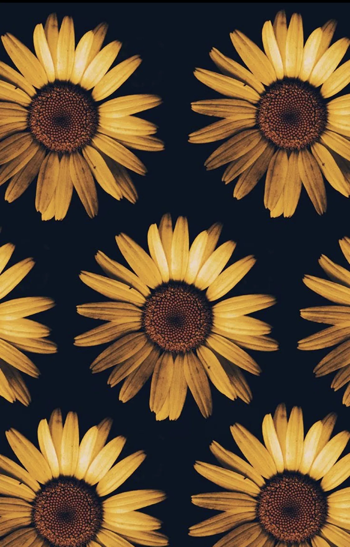 Always satisfied OnlyFans header