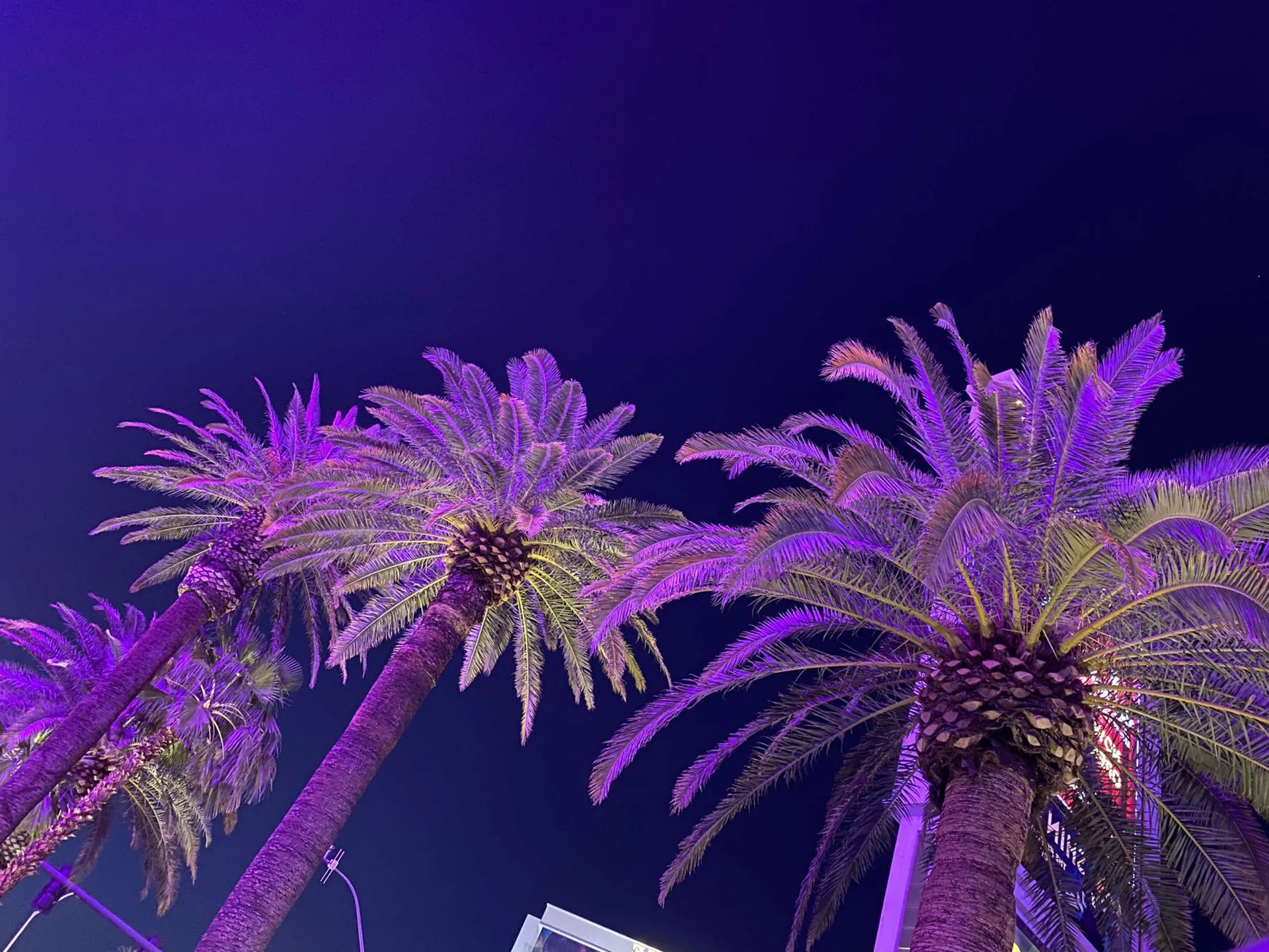 TsPari$!* OnlyFans header