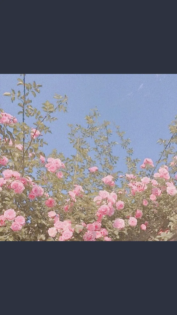 Lilith OnlyFans header