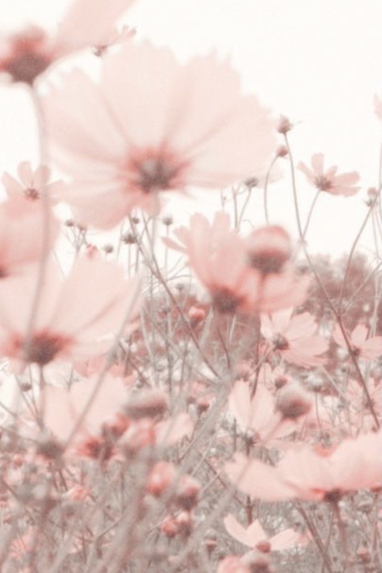 QueenB OnlyFans header