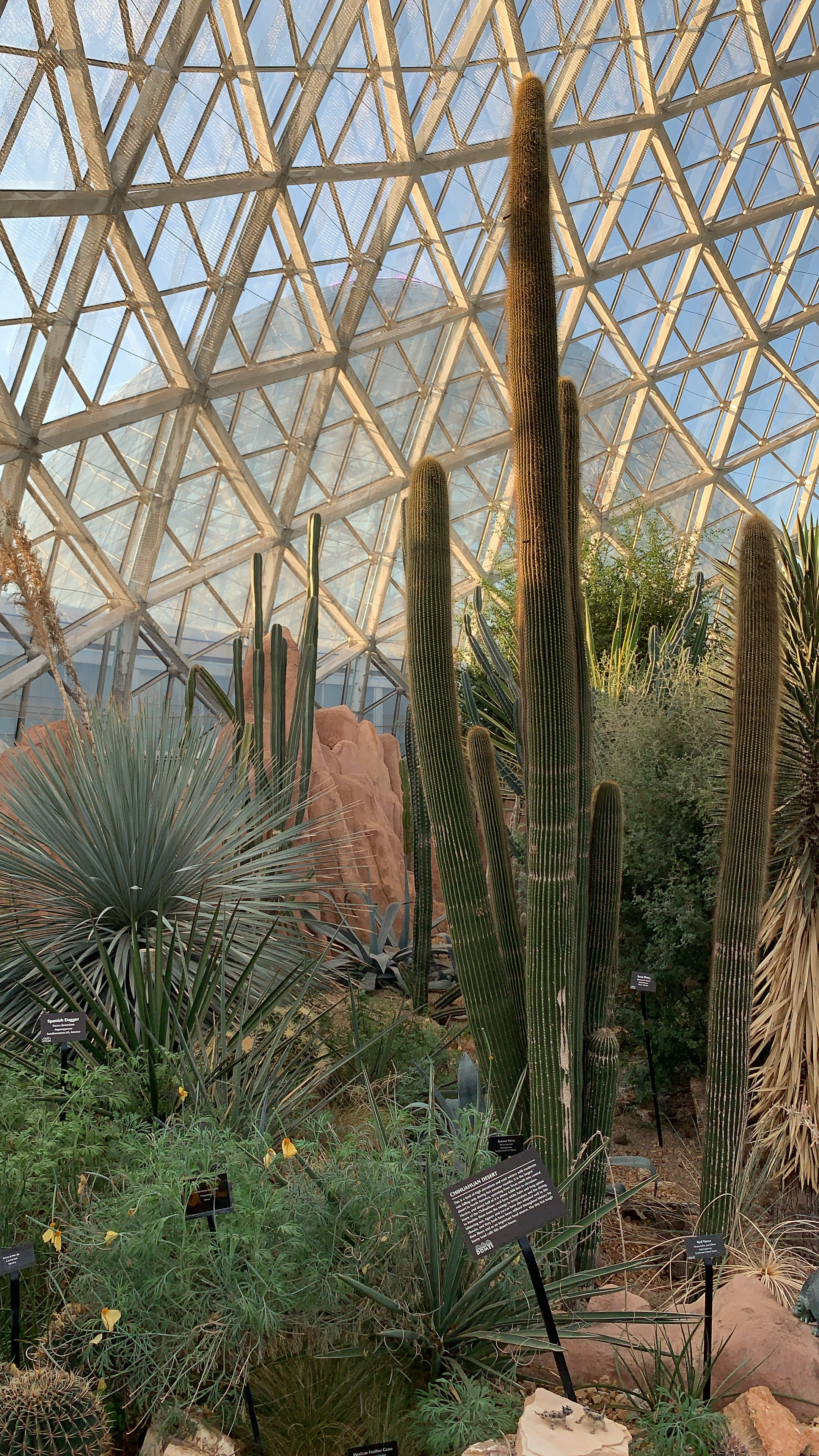 Gypsy OnlyFans header