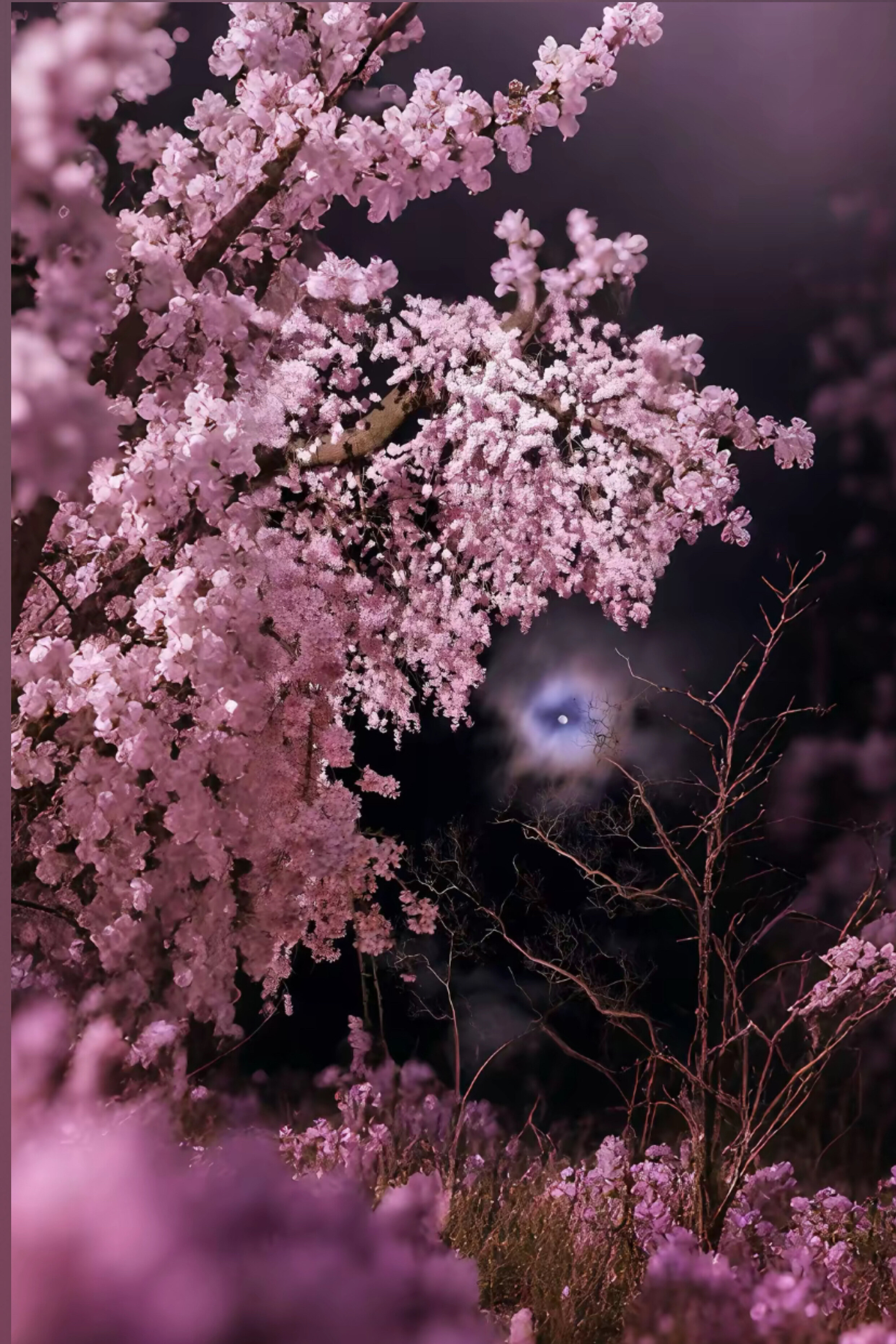 𝔩𝔢𝔬𝔫𝔫𝔦𝔢 𐙚 OnlyFans header