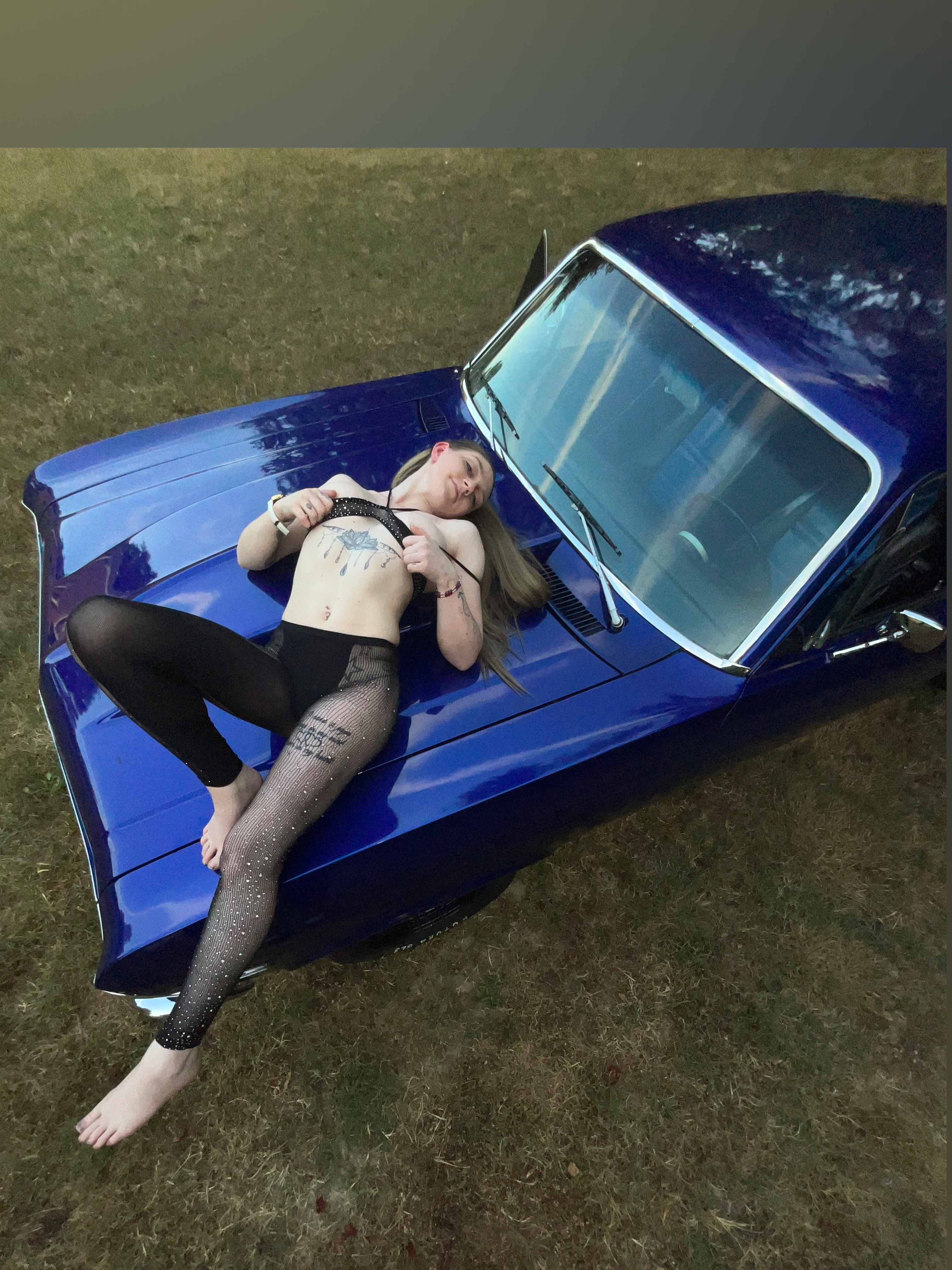 VixXxenNikole OnlyFans header