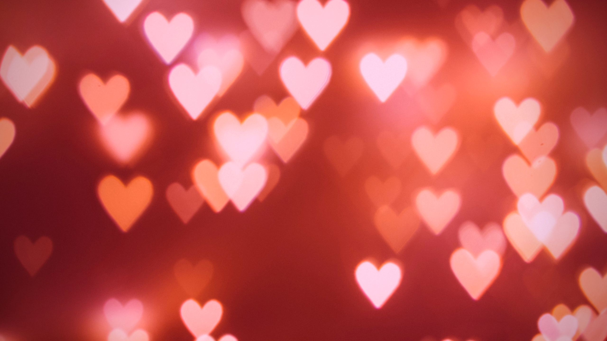 xoxo, angel. OnlyFans header