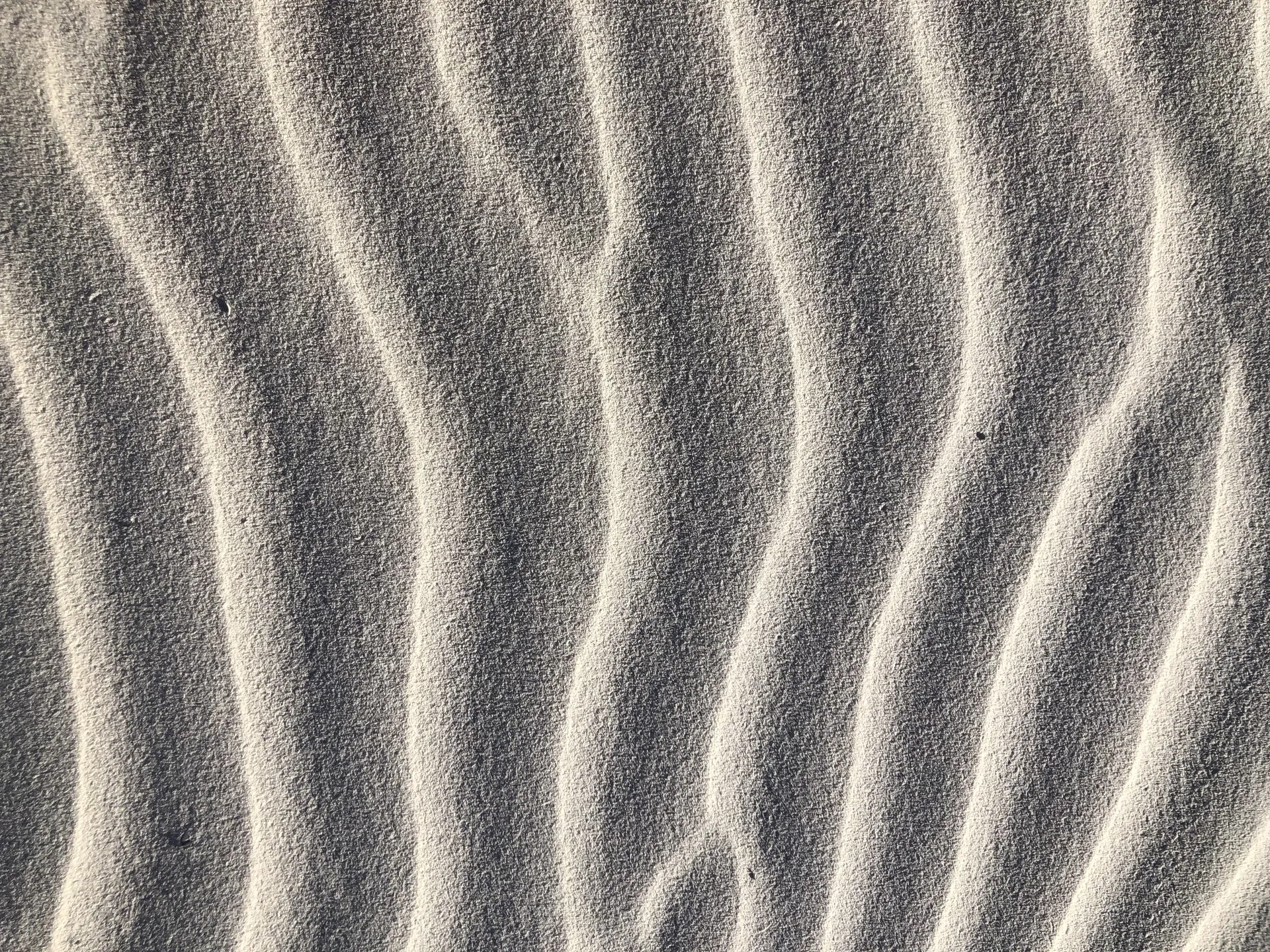 xavier OnlyFans header