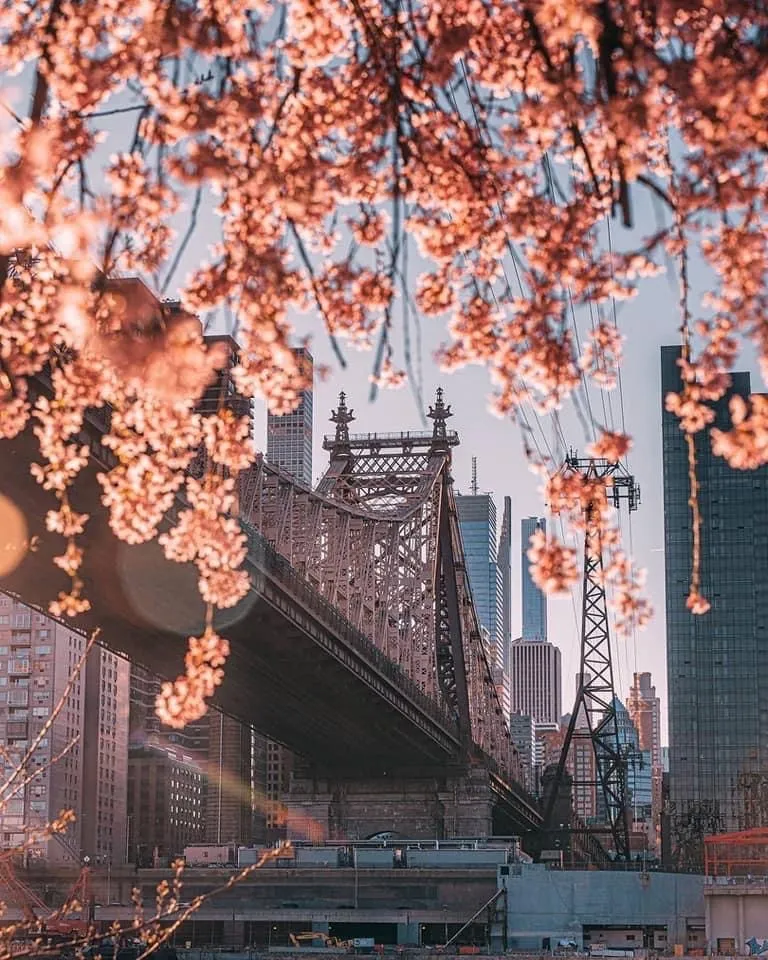 Ellé OnlyFans header