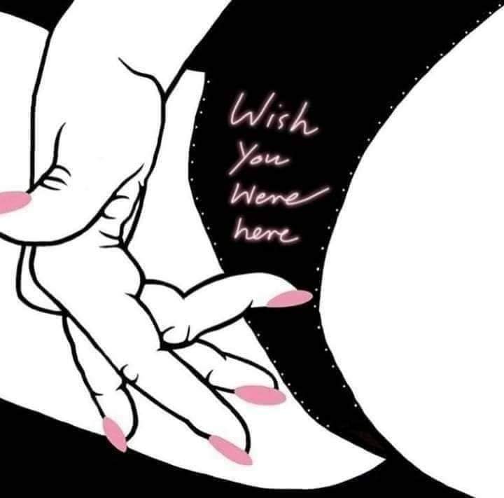 Xoxo OnlyFans header