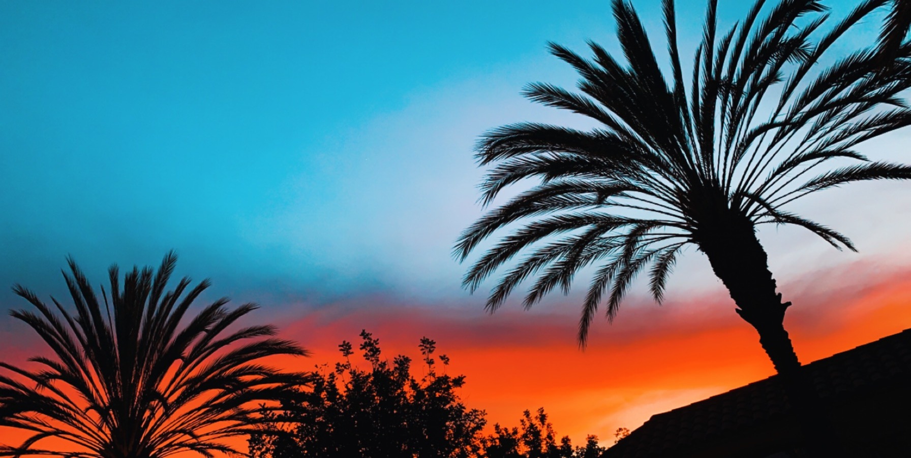 xoxoBeautyandMrB OnlyFans header