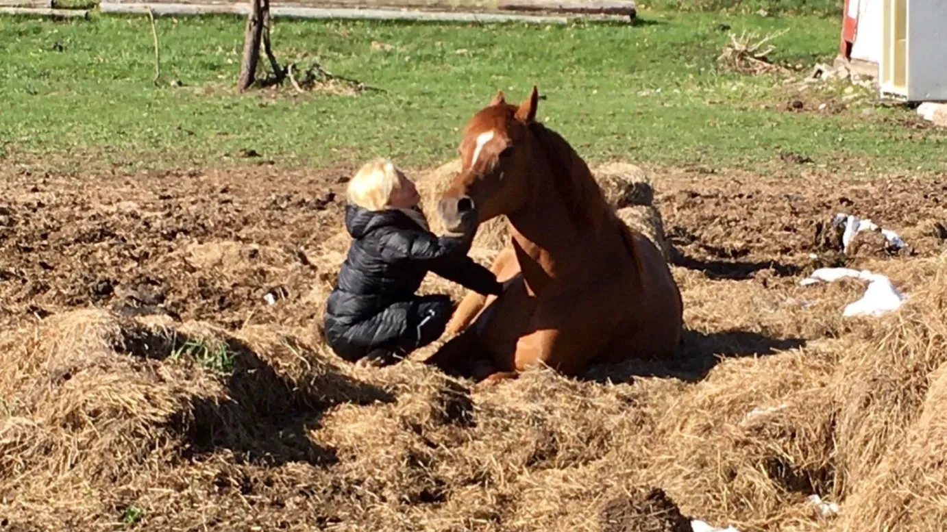 Caprice Capone OnlyFans header