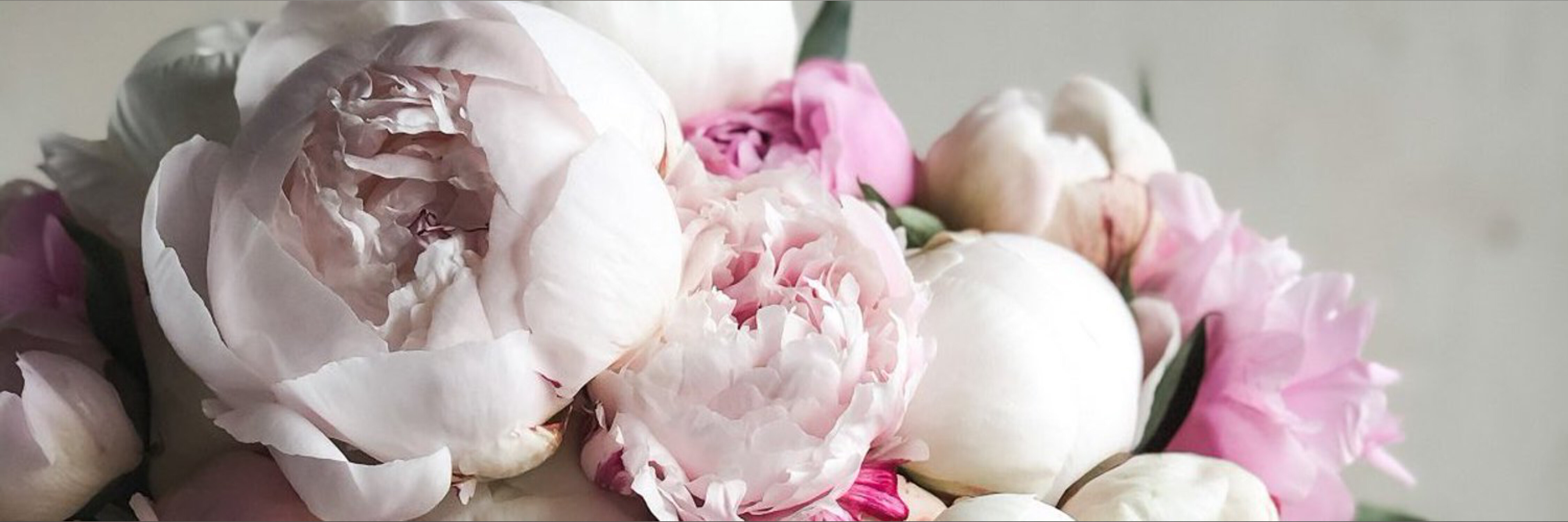 Chelsea Quinn 🍑💦💅 OnlyFans header