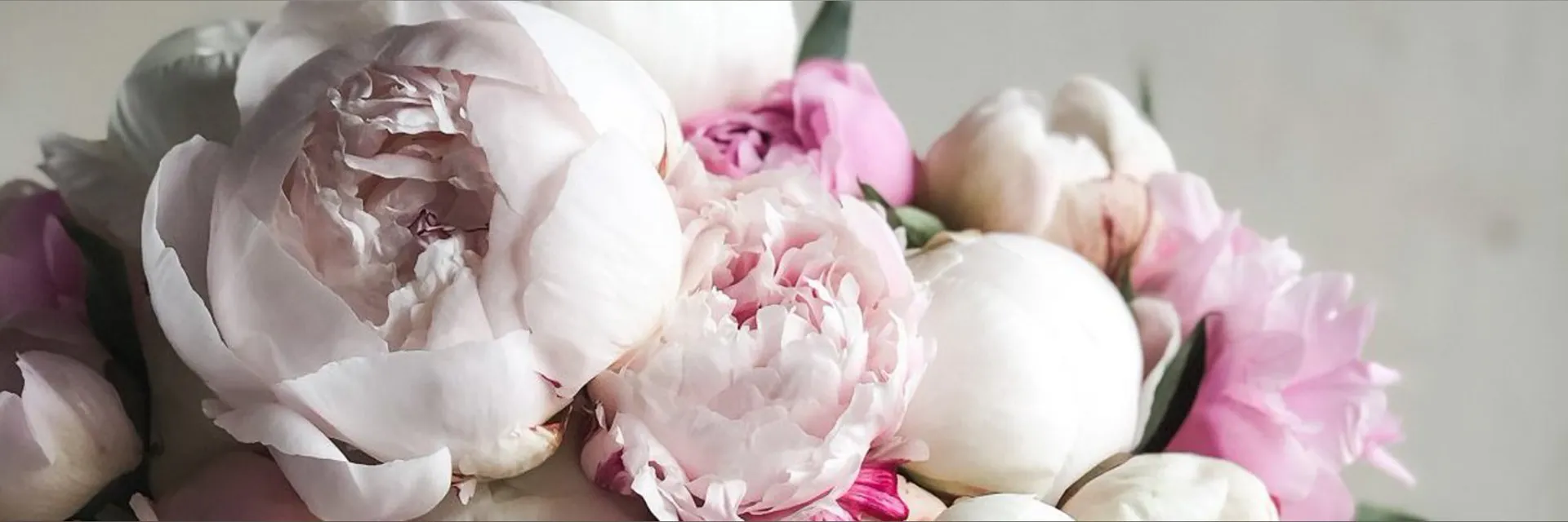 Chelsea Quinn 🍑💦💅 OnlyFans header