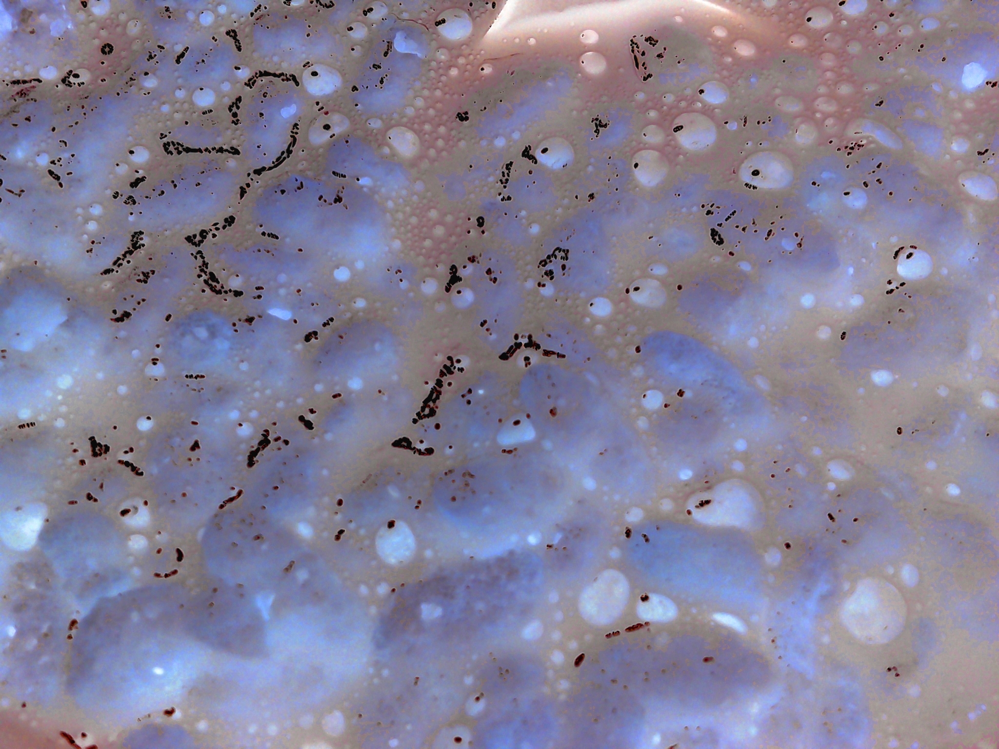 Cori OnlyFans header