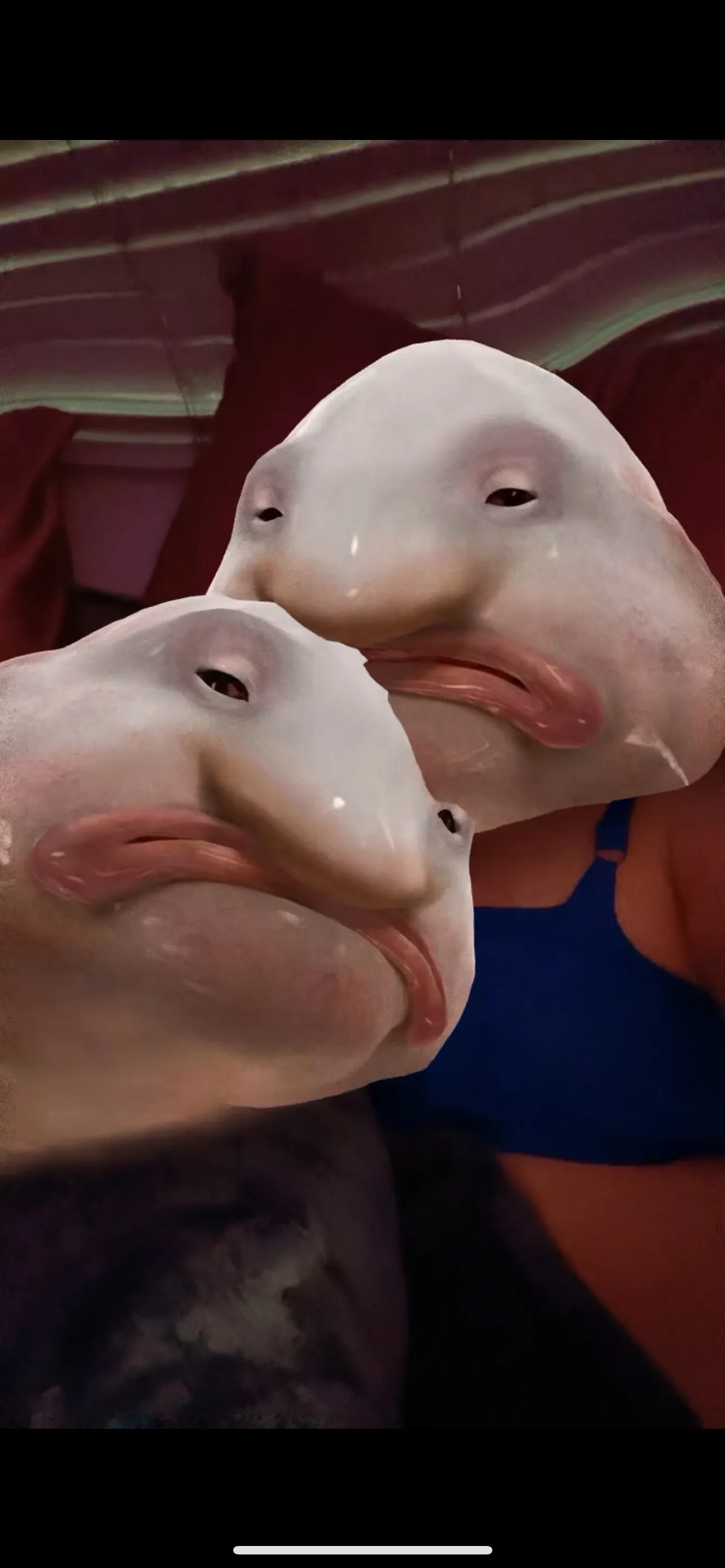 XoxoDaniV OnlyFans header