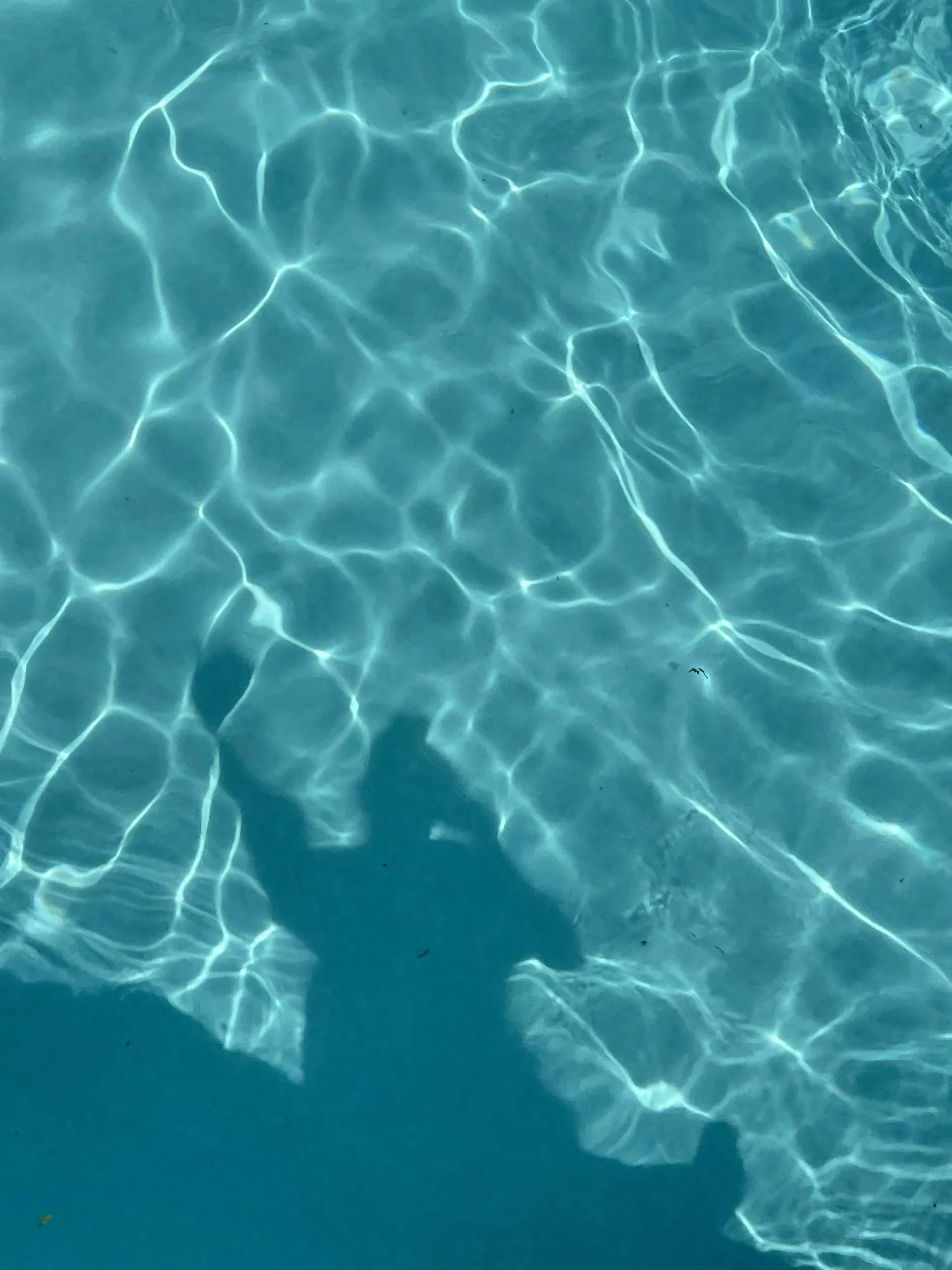 xoxo feet OnlyFans header